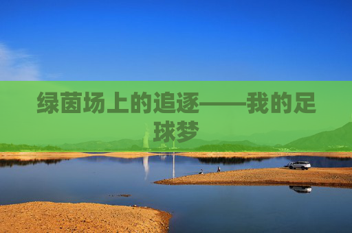 绿茵场上的追逐——我的足球梦