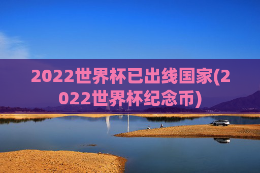 2022世界杯已出线国家(2022世界杯纪念币)