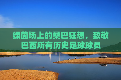 绿茵场上的桑巴狂想,致敬巴西所有历史足球球员
