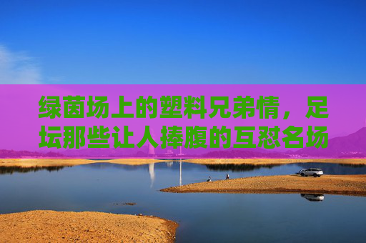 绿茵场上的塑料兄弟情,足坛那些让人捧腹的互怼名场面