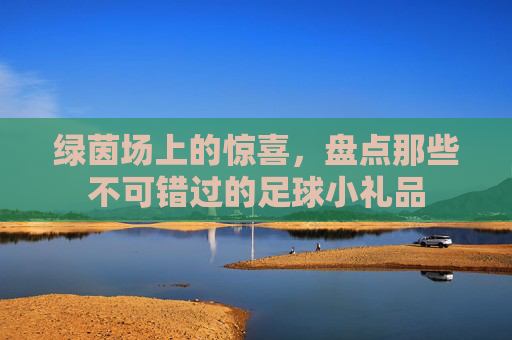 绿茵场上的惊喜,盘点那些不可错过的足球小礼品