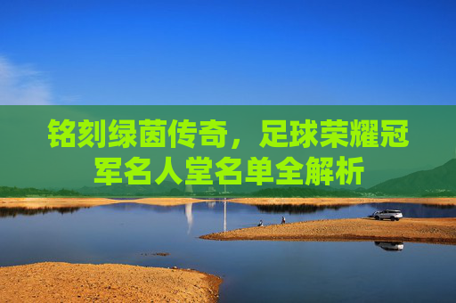 铭刻绿茵传奇,足球荣耀冠军名人堂名单全解析