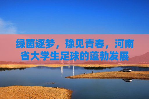 绿茵逐梦，豫见青春，河南省大学生足球的蓬勃发展