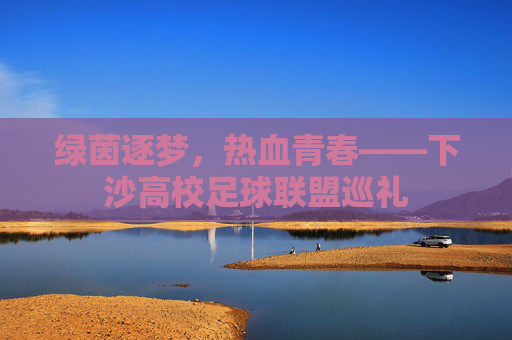 绿茵逐梦，热血青春——下沙高校足球联盟巡礼