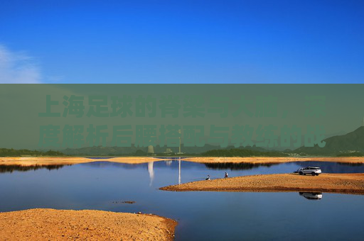 上海足球的脊梁与大脑，深度解析后腰搭配与教练的战术智慧