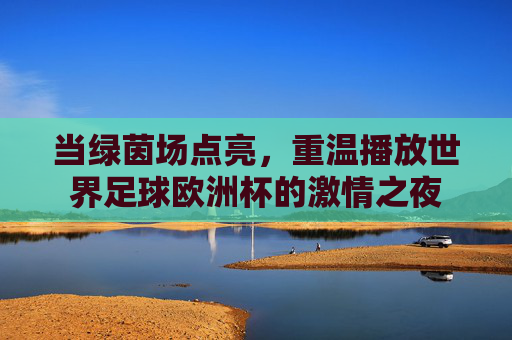当绿茵场点亮,重温播放世界足球欧洲杯的激情之夜
