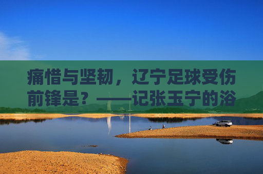 痛惜与坚韧，辽宁足球受伤前锋是？——记张玉宁的浴火重生