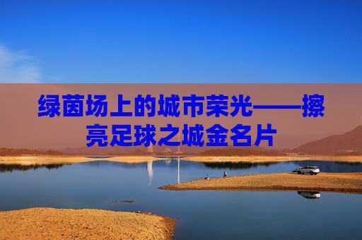 绿茵场上的城市荣光——擦亮足球之城金名片