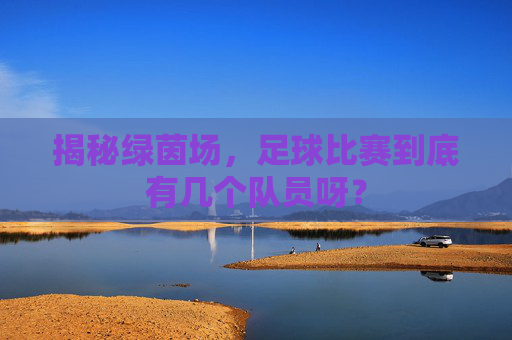 揭秘绿茵场，足球比赛到底有几个队员呀？