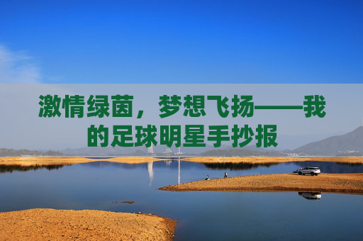 激情绿茵,梦想飞扬——我的足球明星手抄报