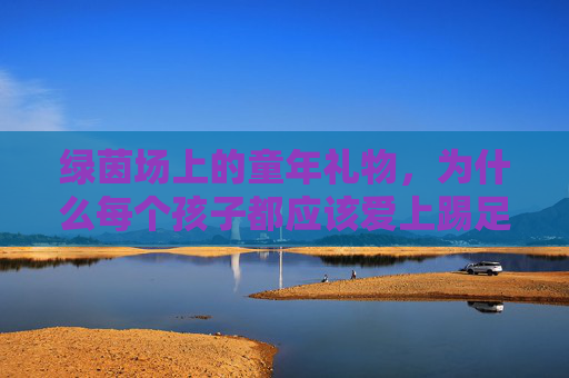 绿茵场上的童年礼物,为什么每个孩子都应该爱上踢足球
