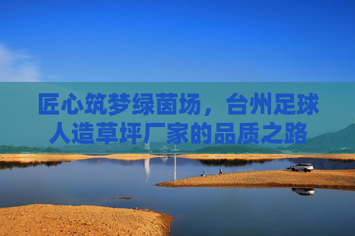 匠心筑梦绿茵场,台州足球人造草坪厂家的品质之路