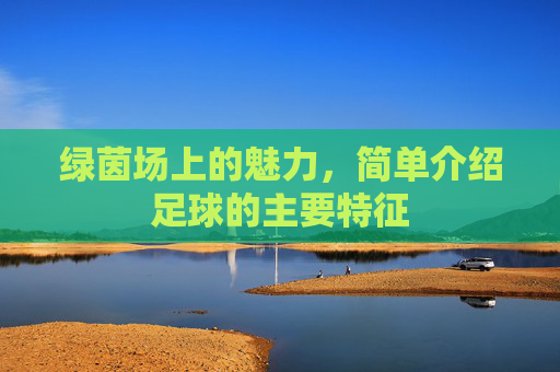 绿茵场上的魅力,简单介绍足球的主要特征