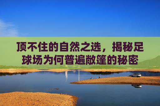 顶不住的自然之选，揭秘足球场为何普遍敞篷的秘密