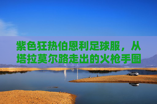 紫色狂热伯恩利足球服,从塔拉莫尔路走出的火枪手图腾