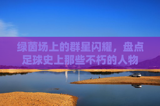 绿茵场上的群星闪耀，盘点足球史上那些不朽的人物