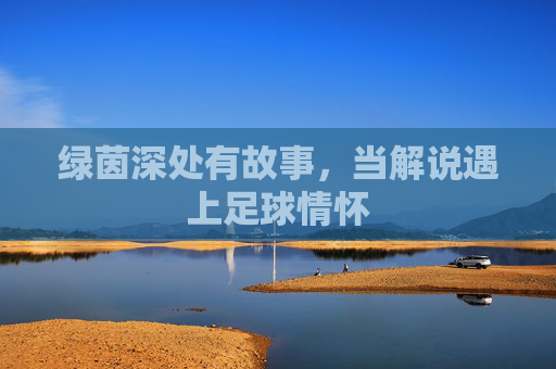 绿茵深处有故事，当解说遇上足球情怀