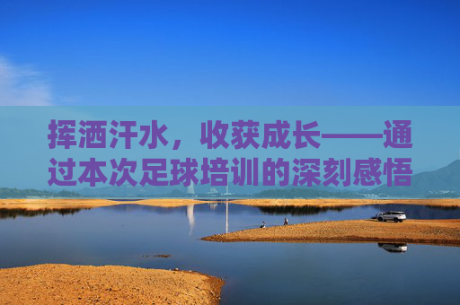 挥洒汗水,收获成长——通过本次足球培训的深刻感悟