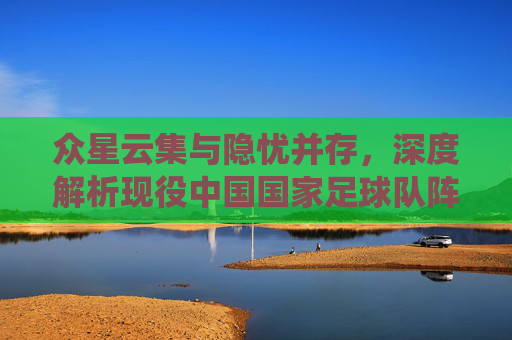 众星云集与隐忧并存,深度解析现役中国国家足球队阵容