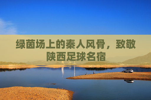 绿茵场上的秦人风骨,致敬陕西足球名宿
