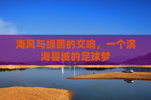 海风与绿茵的交响,一个滨海县城的足球梦