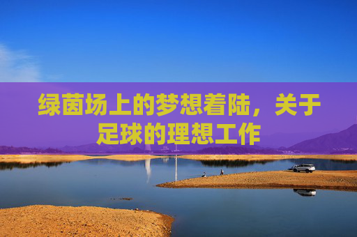 绿茵场上的梦想着陆,关于足球的理想工作
