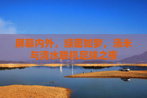 屏幕内外，绿茵如梦，汤米与清水联机足球之夜