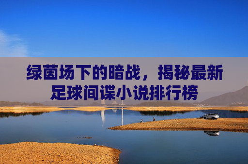 绿茵场下的暗战,揭秘最新足球间谍小说排行榜