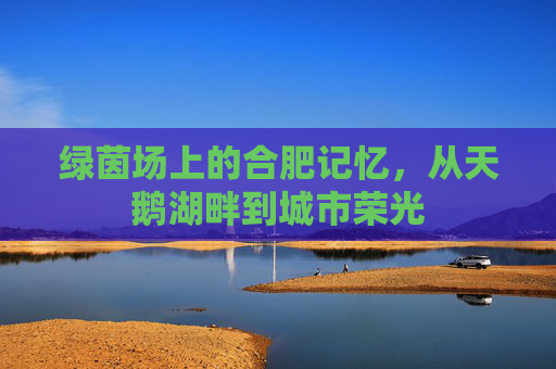 绿茵场上的合肥记忆，从天鹅湖畔到城市荣光