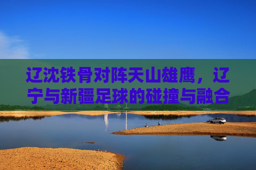辽沈铁骨对阵天山雄鹰,辽宁与新疆足球的碰撞与融合