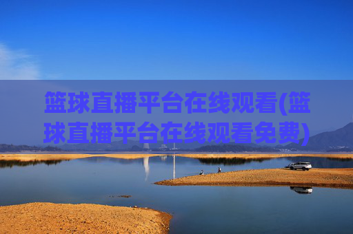 篮球直播平台在线观看(篮球直播平台在线观看免费)