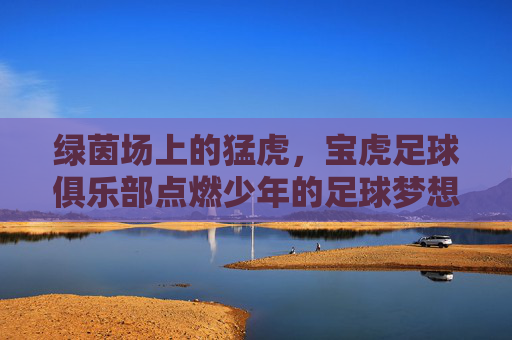 绿茵场上的猛虎,宝虎足球俱乐部点燃少年的足球梦想