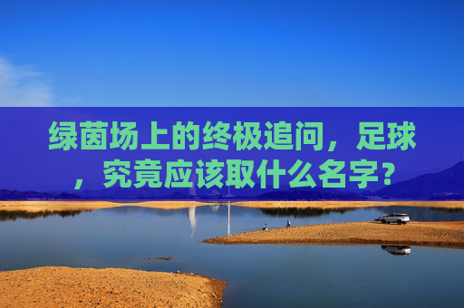 绿茵场上的终极追问,足球,究竟应该取什么名字?