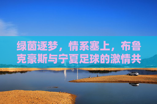 绿茵逐梦,情系塞上,布鲁克豪斯与宁夏足球的激情共鸣