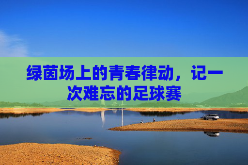 绿茵场上的青春律动,记一次难忘的足球赛
