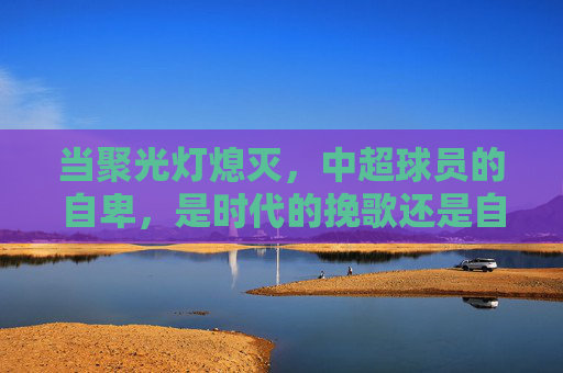 当聚光灯熄灭，中超球员的自卑，是时代的挽歌还是自省的起点？