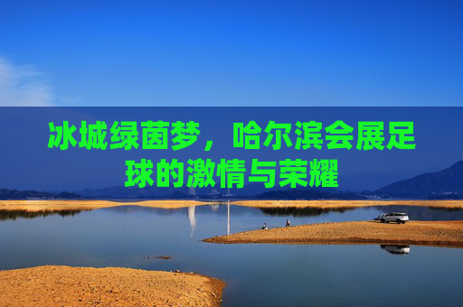 冰城绿茵梦,哈尔滨会展足球的激情与荣耀