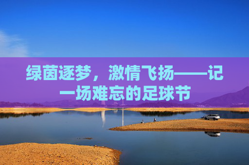 绿茵逐梦,激情飞扬——记一场难忘的足球节