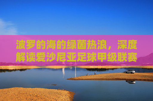 波罗的海的绿茵热浪,深度解读爱沙尼亚足球甲级联赛的独特魅力