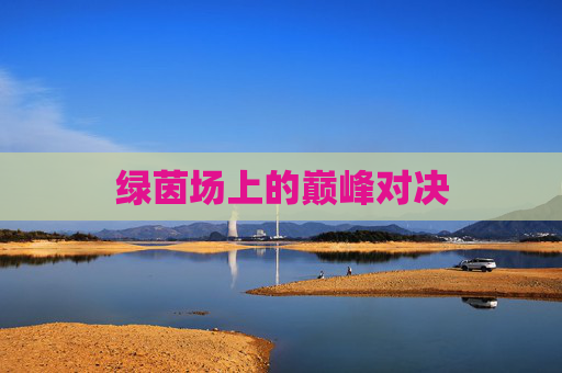 绿茵场上的巅峰对决