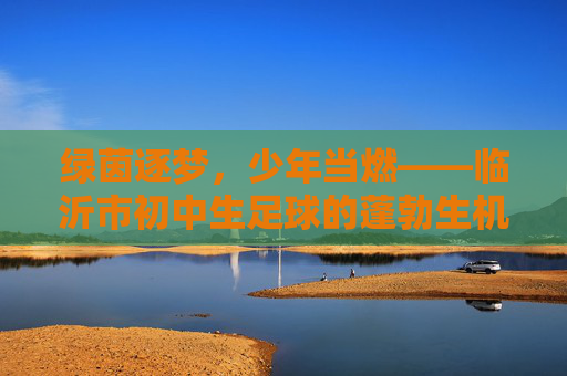 绿茵逐梦,少年当燃——临沂市初中生足球的蓬勃生机