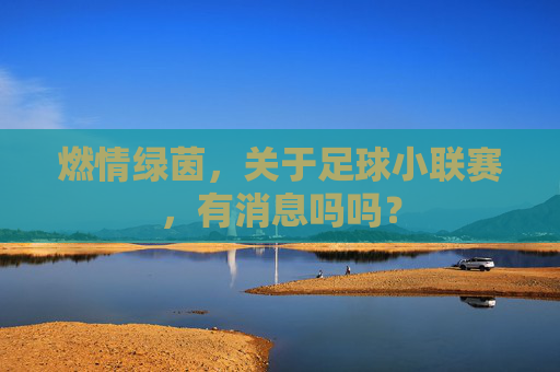 燃情绿茵，关于足球小联赛，有消息吗吗？