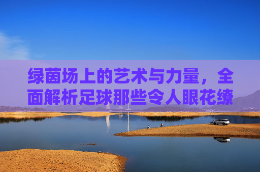 绿茵场上的艺术与力量，全面解析足球那些令人眼花缭乱的球技