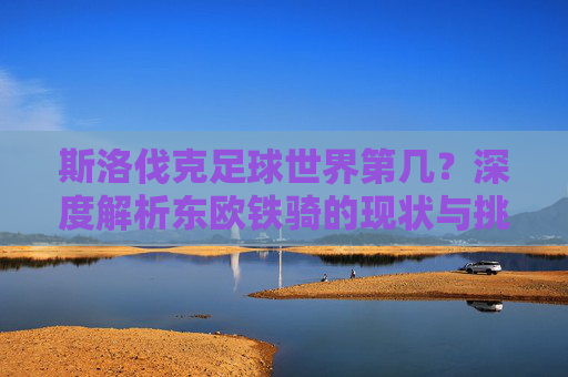 斯洛伐克足球世界第几？深度解析东欧铁骑的现状与挑战