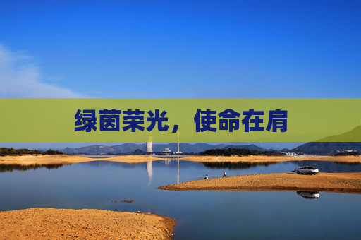 绿茵荣光，使命在肩