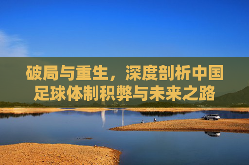 破局与重生,深度剖析中国足球体制积弊与未来之路