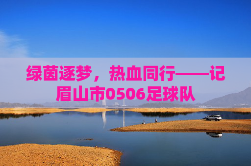 绿茵逐梦,热血同行——记眉山市0506足球队