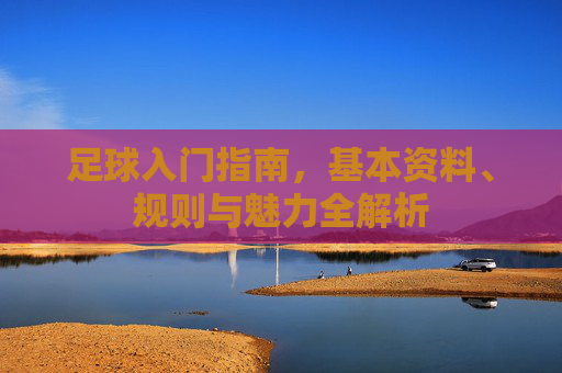 足球入门指南,基本资料、规则与魅力全解析