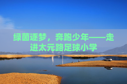 绿茵逐梦,奔跑少年——走进太元路足球小学
