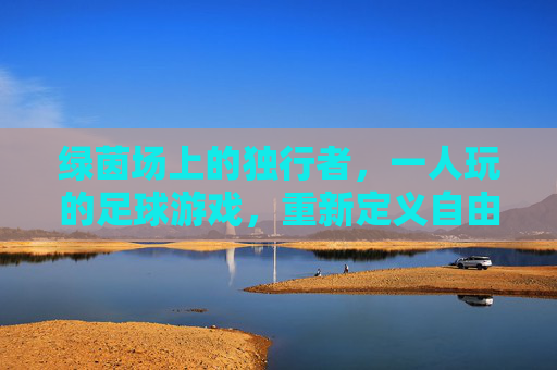 绿茵场上的独行者，一人玩的足球游戏，重新定义自由与技巧
